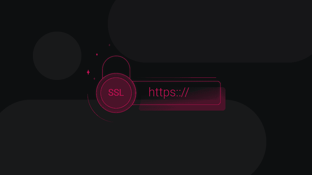 SSL / HTTPS Proxy