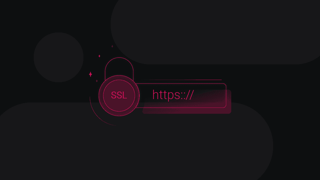 SSL / HTTPS Proxy