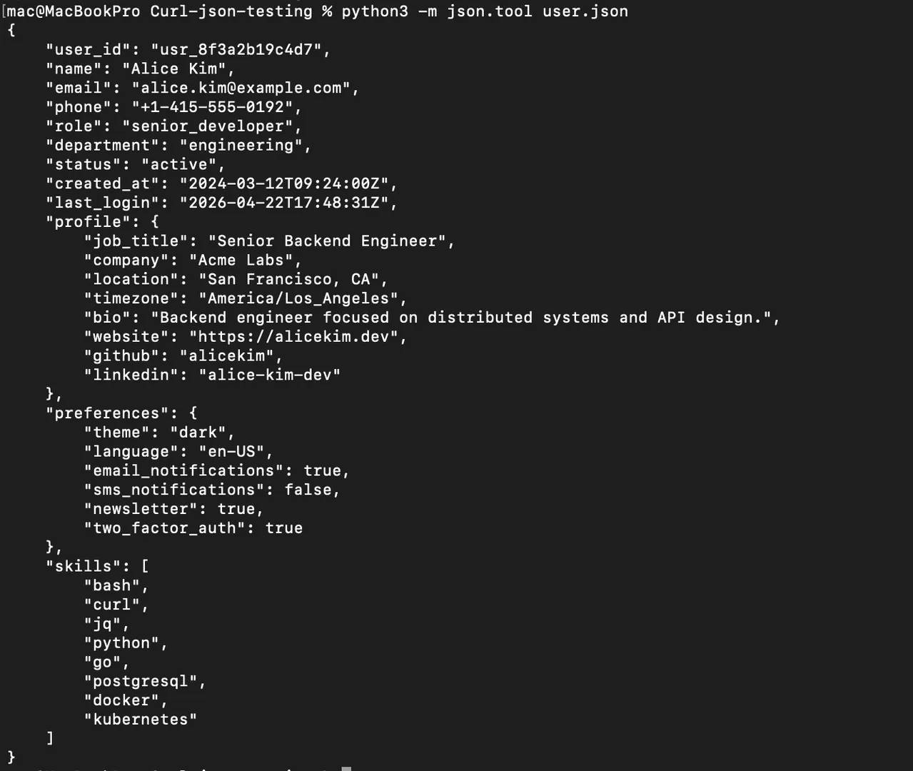 Python as an alternative validator