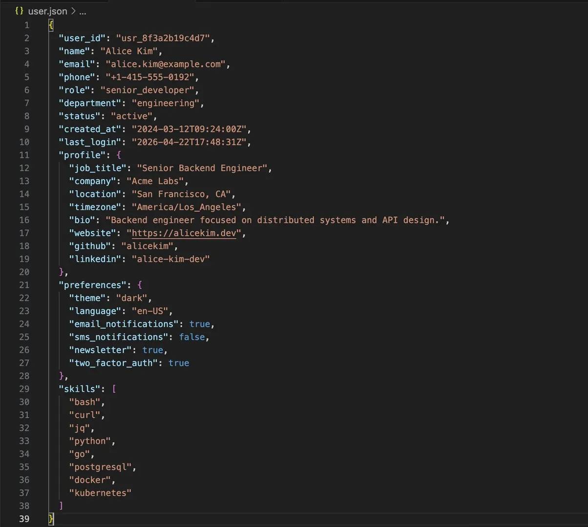 Creating a file called user.json